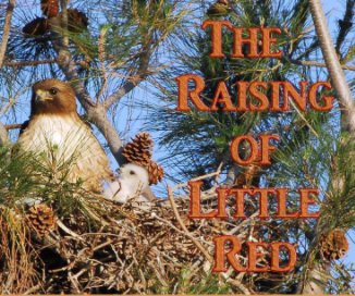 Raising Little Red book cover