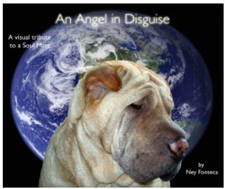 An Angel in Disguise book cover