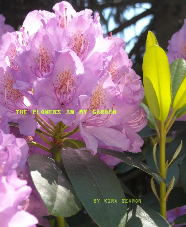 View The Flowers In My Garden by Kira Seamon
