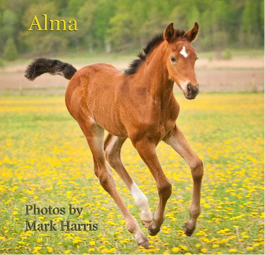 Bekijk Alma - 1st edition op Mark Harris