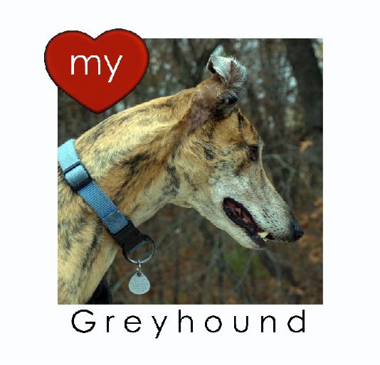 View LOVE My Greyhound by Michel Keck