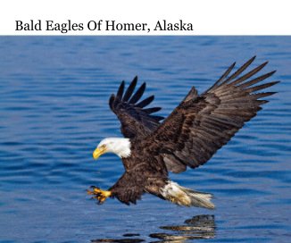 Bald Eagles Of Homer, Alaska book cover