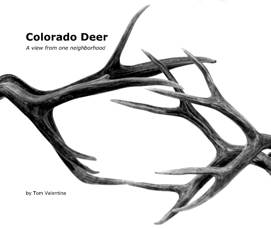 Ver Colorado Deer (13x11) por Tom Valentine