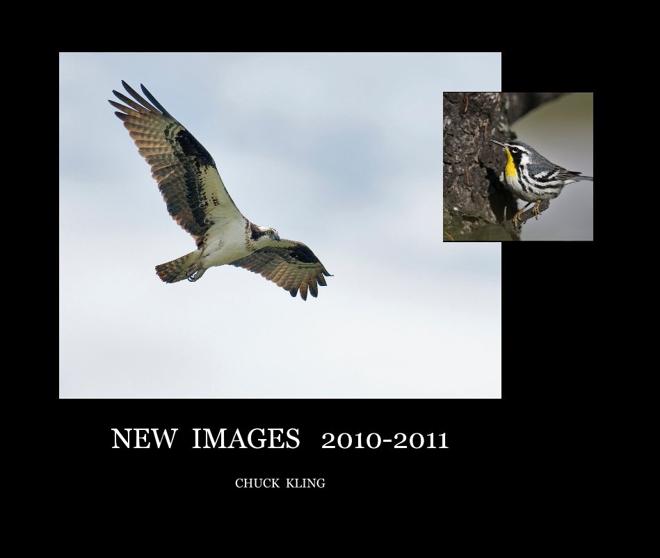 Ver NEW IMAGES 2010-2011 por CHUCK KLING