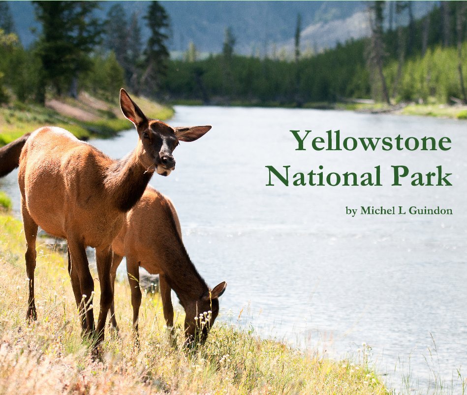 View Yellowstone National Park by Michel L Guindon