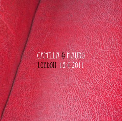 Camilla & Mauro book cover
