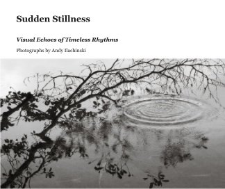 Sudden Stillness book cover