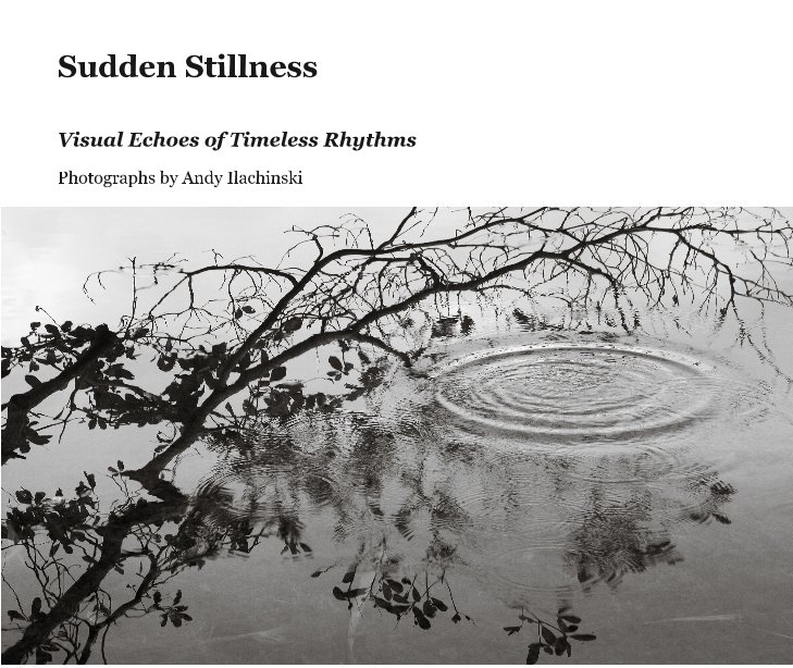 View Sudden Stillness by Photographs by Andy Ilachinski