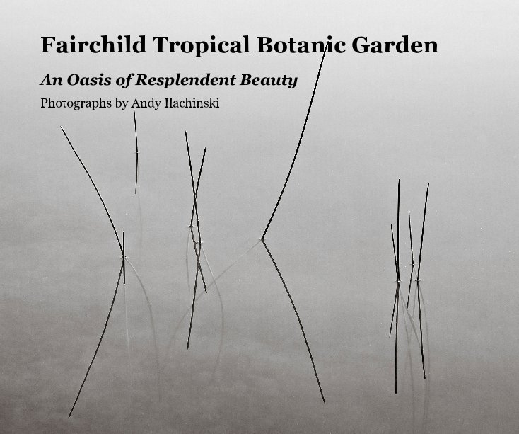 View Fairchild Tropical Botanic Garden by Photographs by Andy Ilachinski