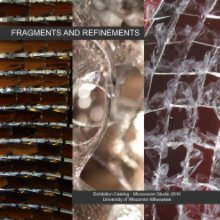 Fragments and Refinements book cover
