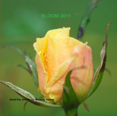 BLOOM 2011 book cover