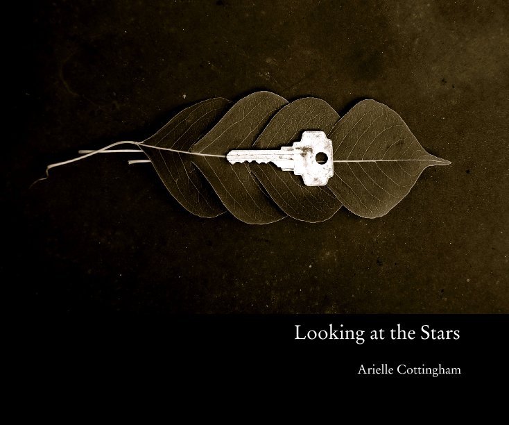 View Looking at the Stars by Arielle Cottingham