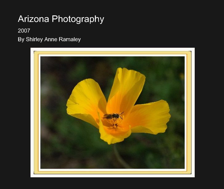 View Arizona Photography by Shirley Anne Ramaley
