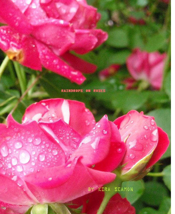 View Raindrops on Roses by Kira Seamon