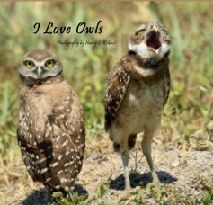 I Love Owls Photography by Nancy S.Wilkins book cover