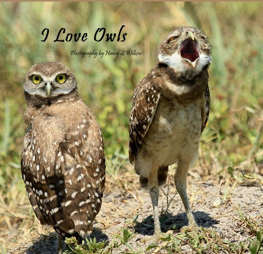 View I Love Owls Photography by Nancy S.Wilkins by NWilkins0131