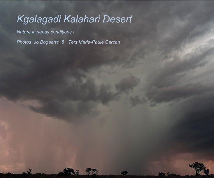 View Kgalagadi Kalahari Desert by Photos Jo Bogaerts & Text Marie-Paule Carcan