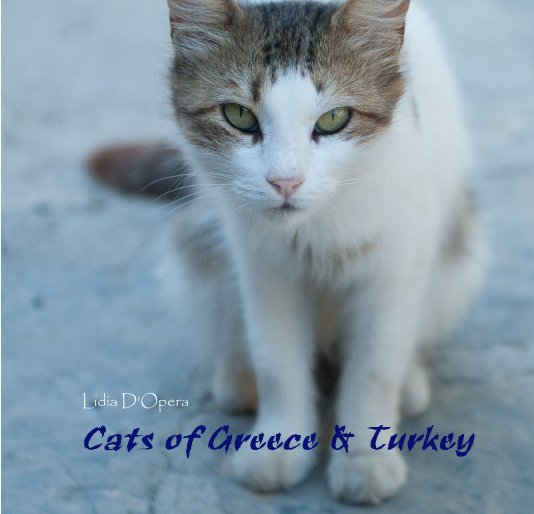 View Cats of Greece & Turkey by Lidia D'Opera