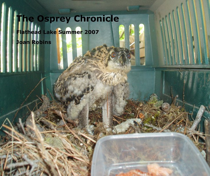 View The Osprey Chronicle by Joan Robins
