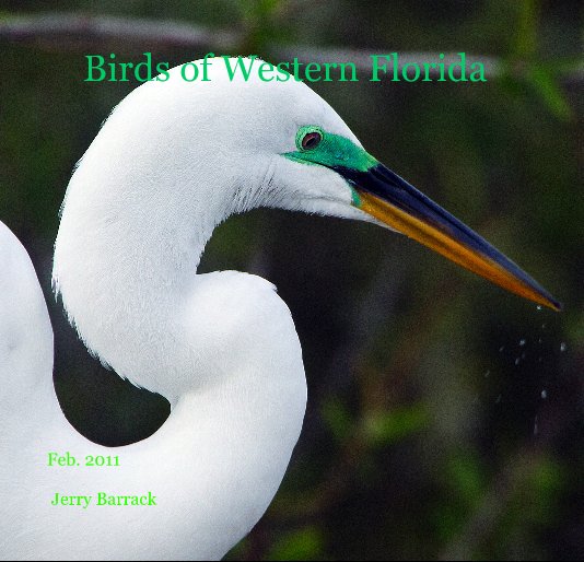 View Birds of Western Florida by Jerry Barrack