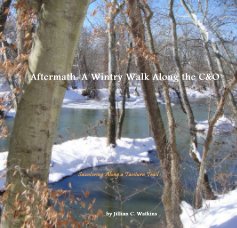 Aftermath: A Wintry Walk Along the C&O book cover
