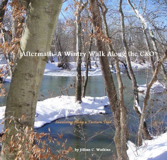 Ver Aftermath: A Wintry Walk Along the C&O por Jillian C. Watkins