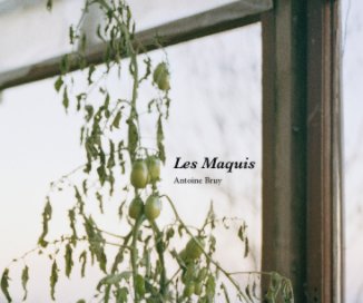 Les Maquis book cover