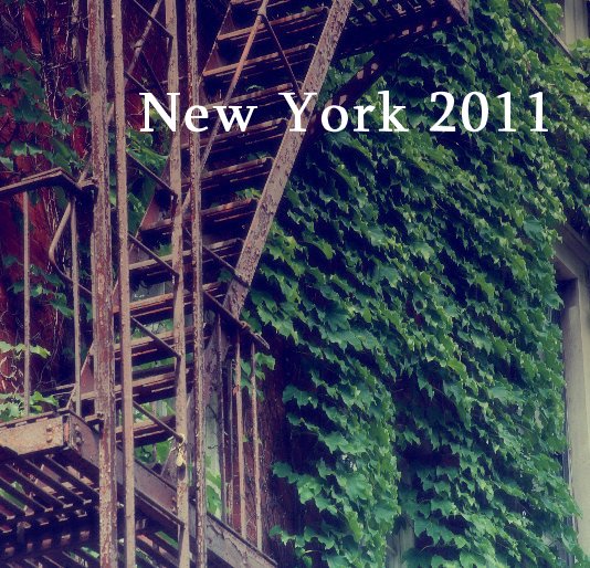 View New York by Rob van der Velden