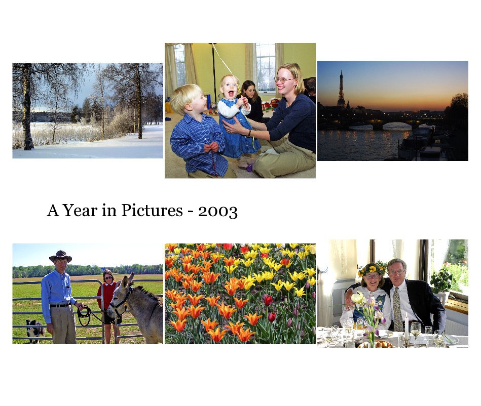 A Year in Pictures - 2003 nach Erik Anestad anzeigen