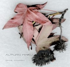 Autumn Haiku book cover
