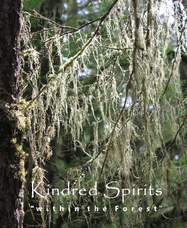 View Kindred Spirits  "within the Forest" by Gittan Klemetsrud