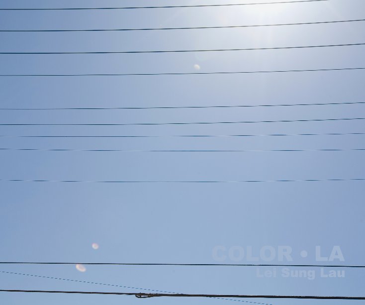 View COLOR • LA by Lei Sung Lau