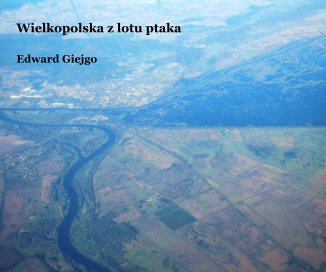 Wielkopolska z lotu ptaka Edward Giejgo book cover