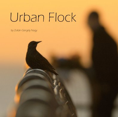 Urban Flock book cover