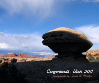 Canyonlands, Utah 2011 book cover