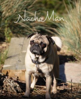 Nacho Man book cover