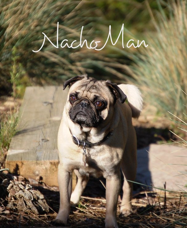Visualizza Nacho Man di Cathleen Candia