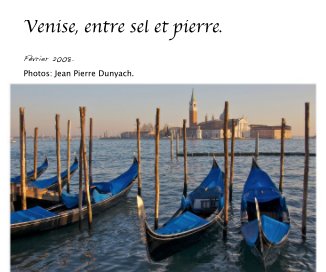 Venise, entre sel et pierre. book cover