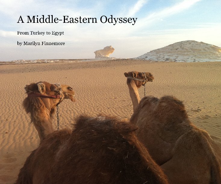 View A Middle-Eastern Odyssey by Marilyn Finnemore