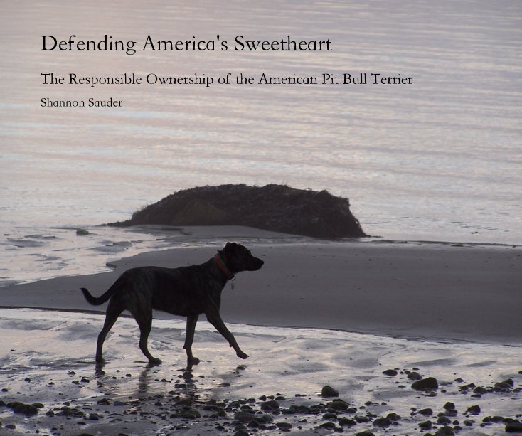 View Defending America's Sweetheart by Shannon Sauder