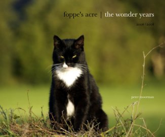 foppe's acre | the wonder years 2006 | 2008 book cover