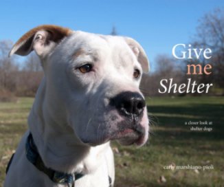 Give Me Shelter book cover