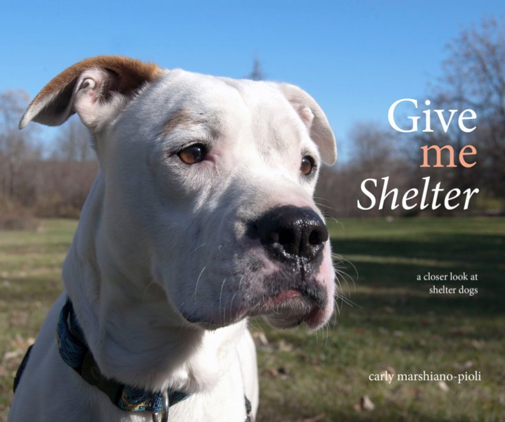 View Give Me Shelter by Carly Marshiano-Pioli