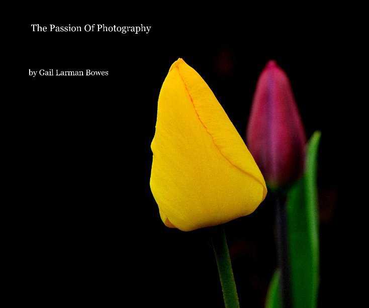 View The Passion Of Photography by Gail Larman Bowes