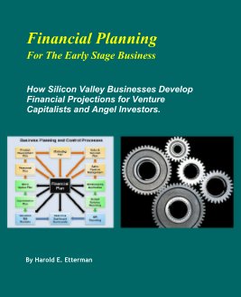 Financial Planning for the Early Stage Business book cover