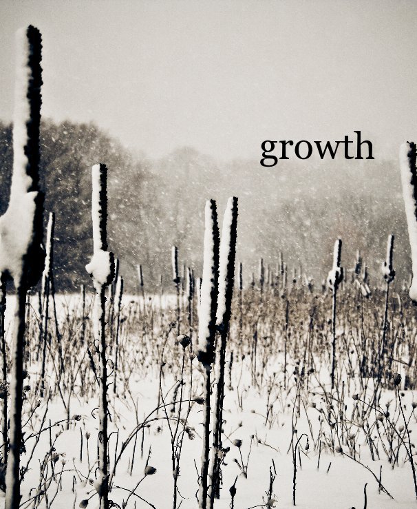 View growth by cornelia klimek