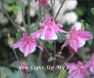 You Light Up My Life book cover