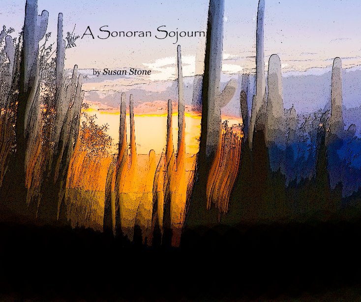 View A Sonoran Sojourn by Susan Stone