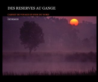 DES RESERVES AU GANGE book cover