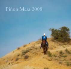 Pinon Mesa 2008 book cover